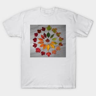 Cycle of leaf autumn leaf art T-Shirt